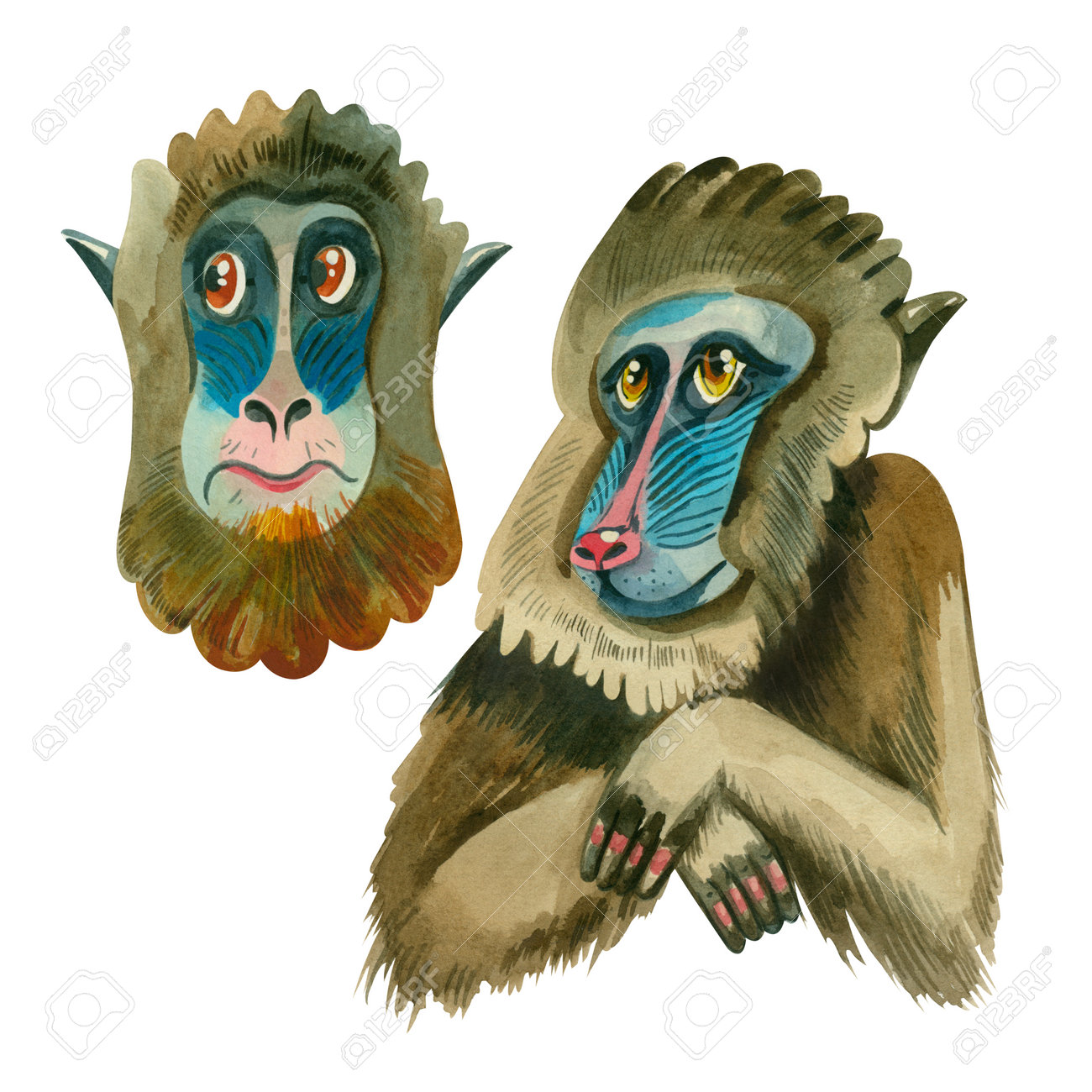 ゴリラとサルの水彩画 （水彩画 ゴリラ ベクター 動物のイラスト